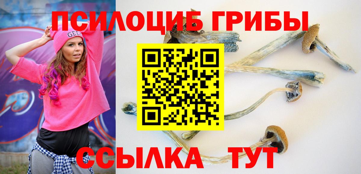 Галлюциногенные грибы прущие грибы Партизанск
